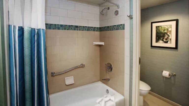 Disneyland Hotel Bathroom 4