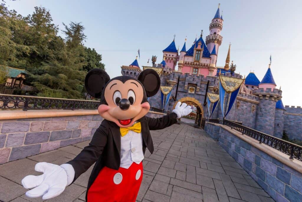 Mickey Mouse Disneyland Castle NEW IMAGE FOR PAGE TOP